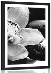 Dovido Poszter paszportuval exotikus orchidea fekete fehérben - 30x45 white