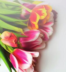 Dovido Öntapadó fotótapéta színes tulipán csokor - 245x270