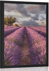 Dovido Poszter levandula mezők - 40x60 black