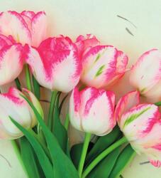 Dovido Fotótapéta tavaszi tulipánok - 245x270