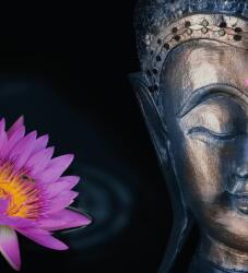 Dovido Öntapadó fotótapéta imádott Buddha - 245x270