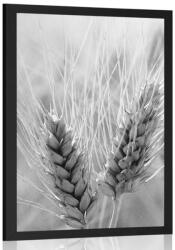 Dovido Poszter búzamező fekete-fehérben - 40x60 white