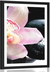 Dovido Poszter paszportuval exotikus orchidea - 60x90 white