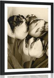 Dovido Poszter paszportuval tavaszi tulipánok szépia kivitelben - 40x60 black