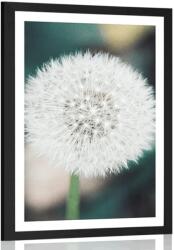 Dovido Poszter paszpotuval pitypang fej - 20x30 black