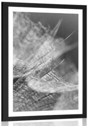 Dovido Poszter paszpartuval - fekete-fehér makro pitypang háttérrel. - 30x45 silver