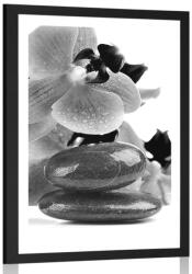 Dovido Poszter paszportuval SPA kövek orchideával fekete fehérben - 40x60 no frame