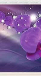 Dovido Öntapadó tapéta orchidea görög oszlopoknál - 147x270