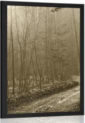 Dovido Poszter erdei út szépia kivitelben - 40x60 no frame