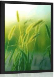 Dovido Poszter fű szállak - 20x30 no frame
