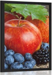 Dovido Poszter őszi őszi betakarítás - 60x90 white