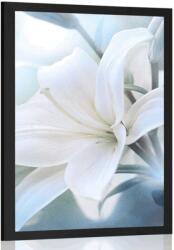 Dovido Poszterfehér liliom absztrakt háttéren - 30x45 black