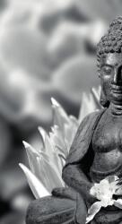 Dovido Öntapadó fotótapéta békés Buddha fekete fehérben - 147x270
