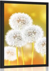 Dovido Poszter bolyhos pitypang - 20x30 black