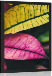 Dovido Poszter friss levelek - 30x45 black