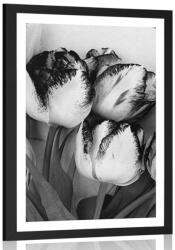 Dovido Poszter tavaszi tulipán fekete fehérben - 20x30 white