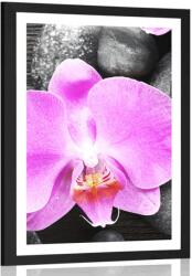 Dovido Poszter paszportuval csodás orchiddea és kövek - 20x30 no frame