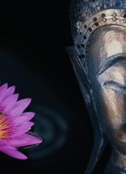 Dovido Öntapadó fotótapéta imádott Buddha - 196x270