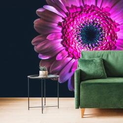 Dovido Tapéta lila gerbera - 294x198