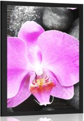 Dovido Poszter csodás orchidea és kövek - 30x45 silver