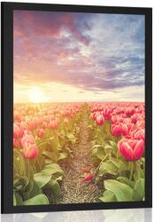 Dovido Poszter napkelte tulipánok felett - 20x30 white