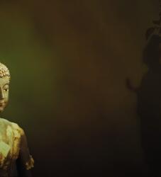 Dovido Tapéta Buddha tükörképe - 245x270