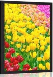 Dovido Poszter kert tele tulipánnal - 20x30 no frame