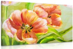 Dovido Kép piros tulipánok vintage kivitelben - 120x80