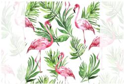 Dovido Tapéta flamingók a trópusokon - 245x270