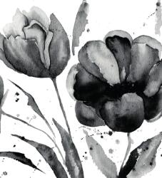 Dovido Öntapadó tapéta csodás tulipán fekete fehérben - 245x270