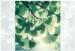 Dovido Tapéta zöld ginkgo levelek fényárban - 245x270