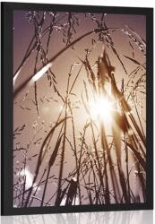 Dovido Poszter mezei fű - 40x60 silver