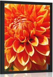 Dovido Poszter narancssárga dália - 60x90 black