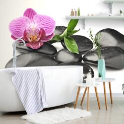 Dovido Öntapadó fotótapéta masszázs wellness kövek - 539x363