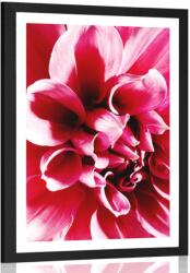 Dovido Poszter paszportuval rózsa virág - 40x60 white