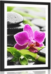 Dovido Poszter paszportuval wellness csendélet lila orchideával - 30x45 white