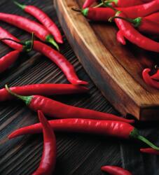 Dovido Fotótapéta tányér chili paprikával - 245x270