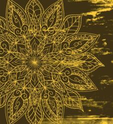 Dovido Öntapadó tapéta Mandala struktúra - 245x270