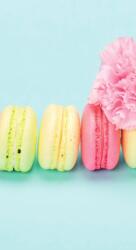Dovido Öntapadó fotótapéta finom macaroons - 147x270