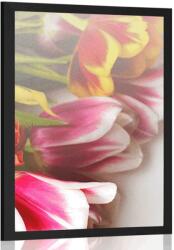 Dovido Poszter színes tulipán csokor - 40x60 silver