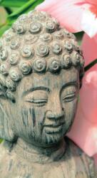 Dovido Fotótapéta Buddha szobor a Zen kertben - 147x270
