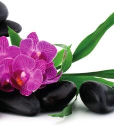 Dovido Fotótapéta lila orchidea Zen csedéletben - 147x270