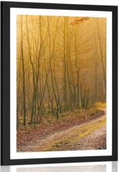 Dovido Poszter paszportuval út az erdőben - 30x45 no frame - dovido - 4 270 Ft