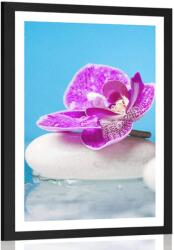 Dovido Poszter paszportuval orchidea Zen kövek - 60x90 no frame