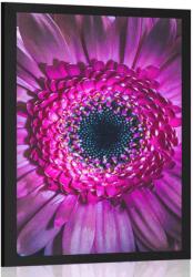 Dovido Poszter lila gerbera - 20x30 silver
