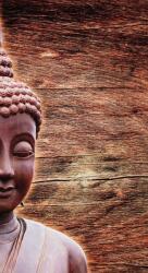 Dovido Fotótapéta Buddha szobor fa háttéren - 147x270