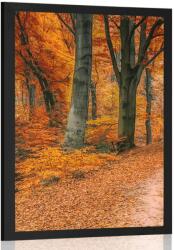 Dovido Poszter erdő őszi időszakban - 60x90 no frame