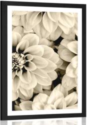 Dovido Poszter paszportuval dália virág szépia kivitelben - 20x30 white