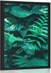 Dovido Poszter trópusi levelek - 40x60 black