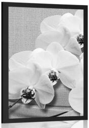 Dovido Poszter orchidea vásznon fekete fehérben - 30x45 black